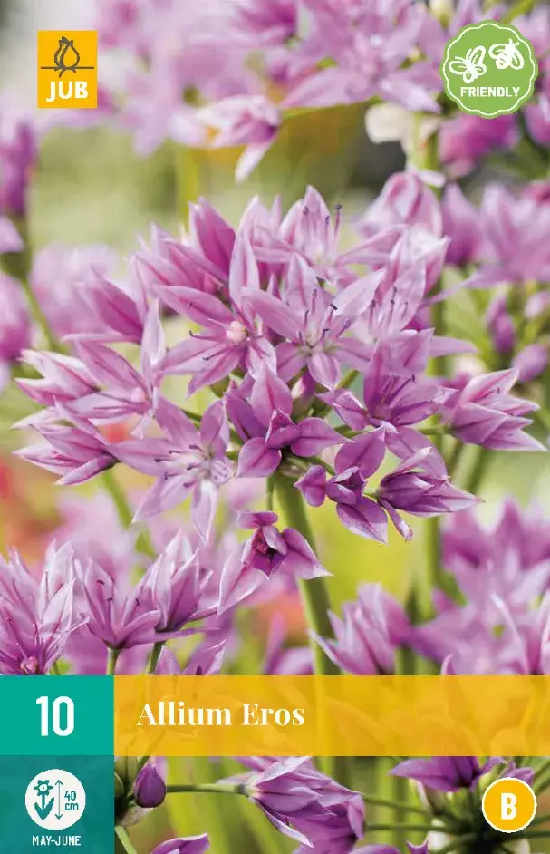 Allium Eros Tuincentrum Van Ee Groot Assortiment Aan Groen