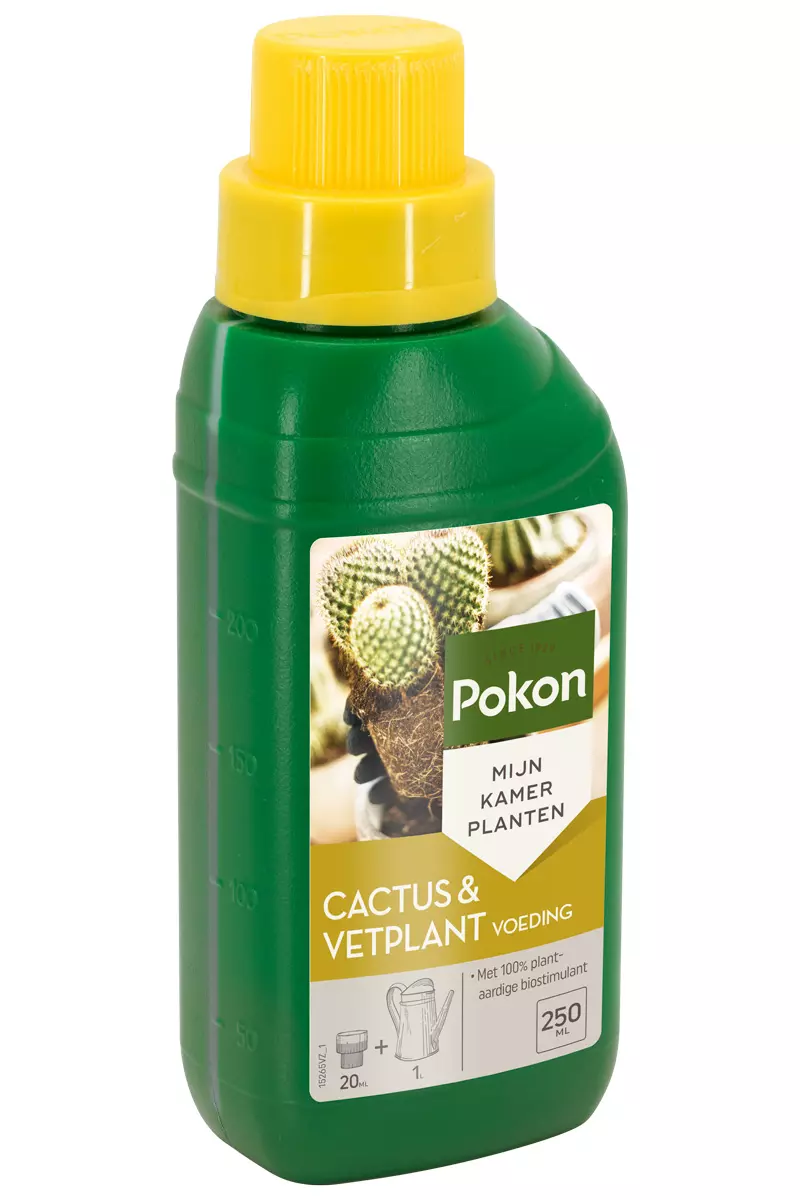 Pokon Cactus Vetplant Voeding Ml Tuincentrum Van Ee Groot