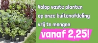 Acties en aanbiedingen