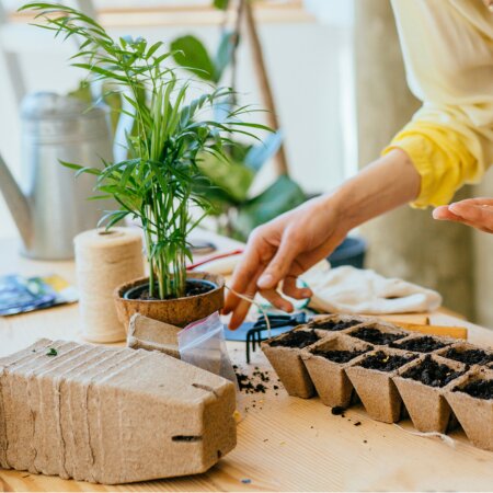 Kweekkassen Potjes Tuincentrum Van Ee Groot Assortiment Aan Groen