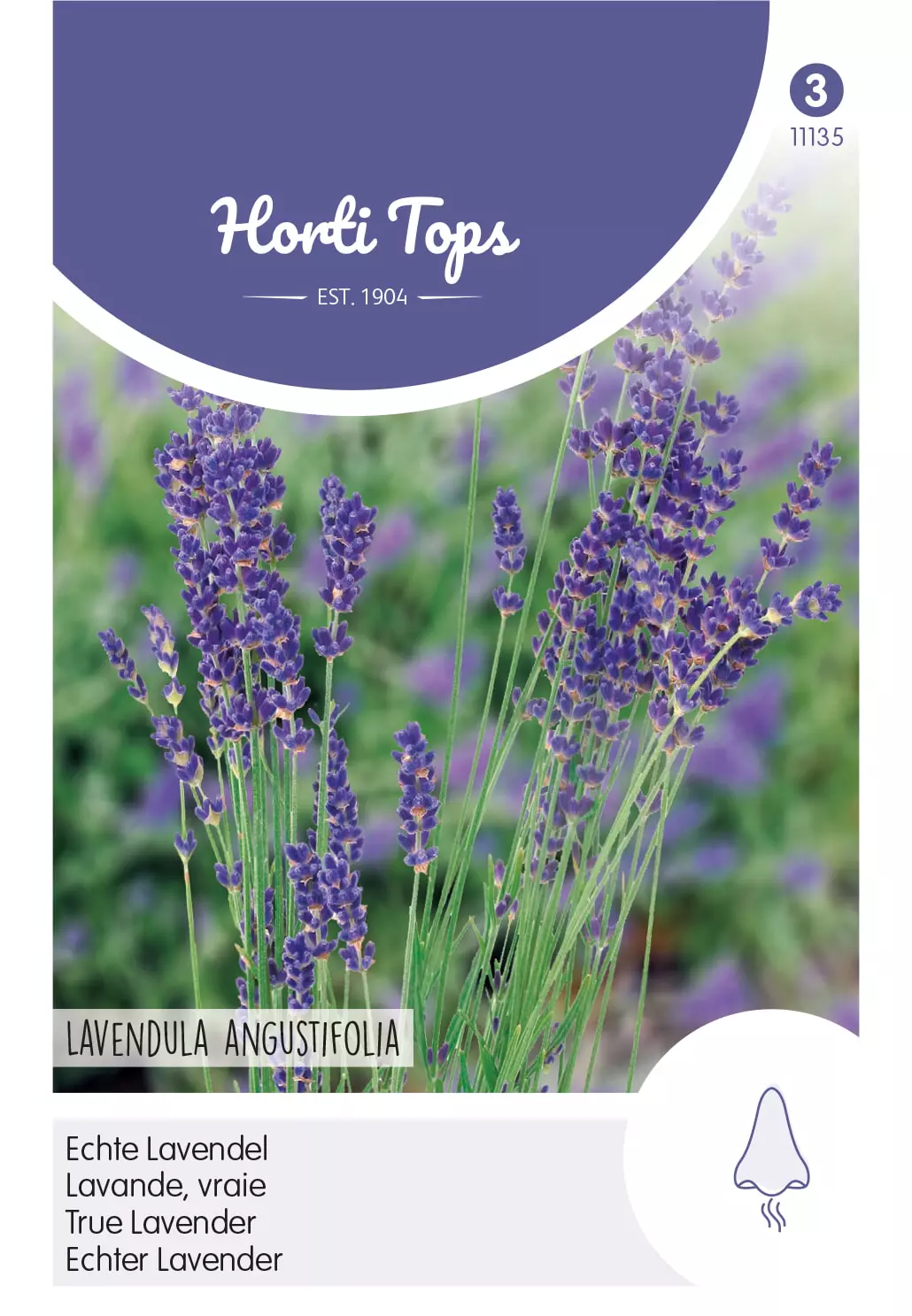 Lavendel Tuincentrum Van Ee Groot Assortiment Aan Groen