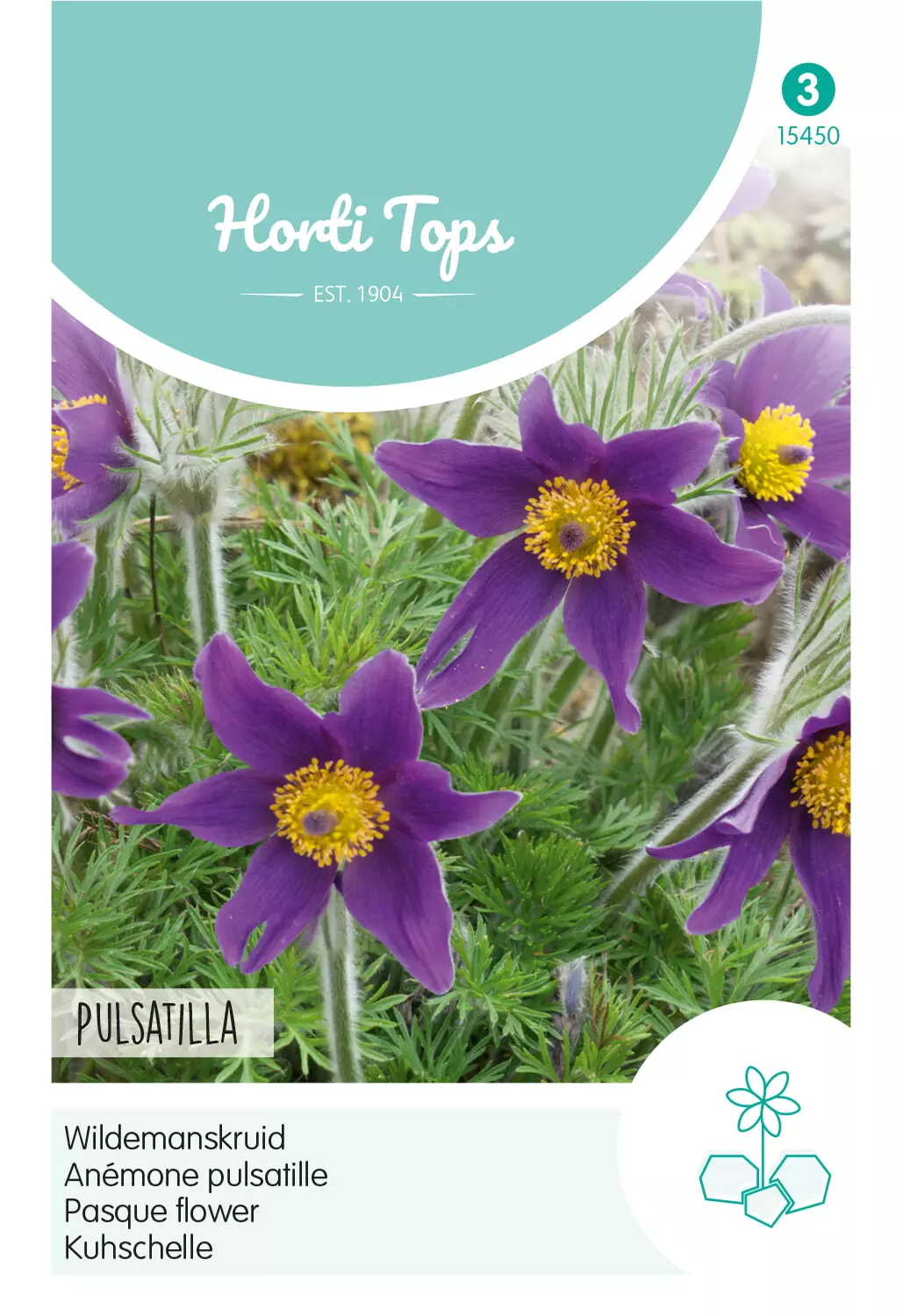 Pulsatilla Wildemanskruid Tuincentrum Van Ee Groot Assortiment Aan